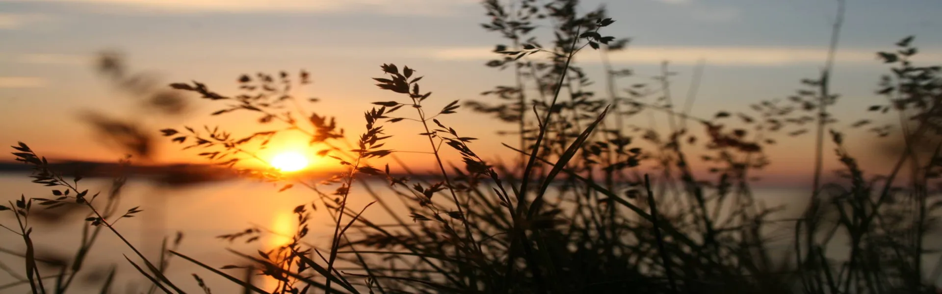 Respect de l'environnement