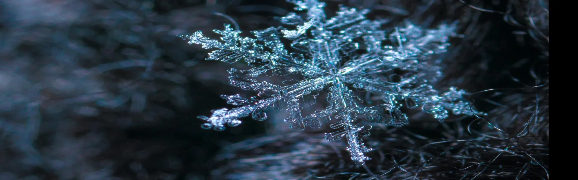 Effiziente Kühltransporte und sichere Lebensmittellogistik