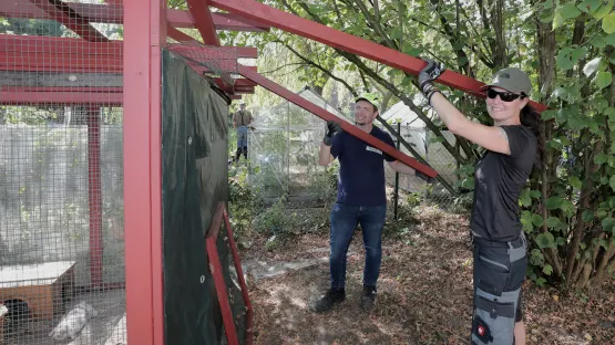 Das Dach des Kaninchenstalls musste ausgebessert werden.