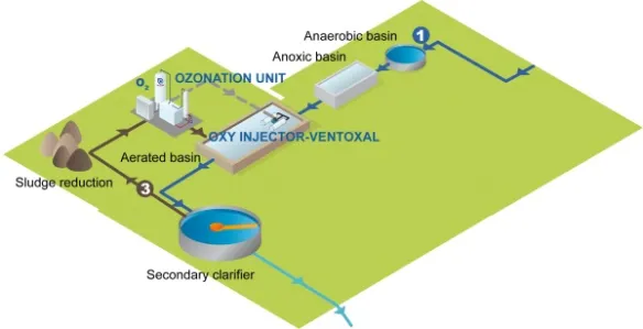 Biologischer Überschussschlamm