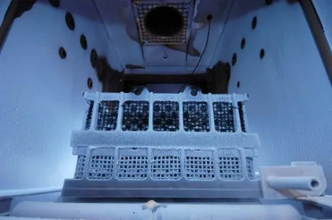 Kälte-Wärme-Kammer