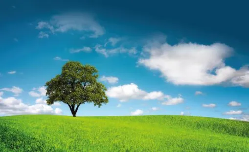 Landschaft-verbesserte Energiebilanz 