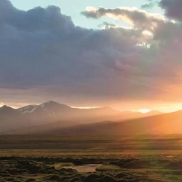 Grüne Gase für Jedermann